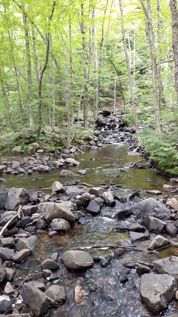 Denholm, Québec Parc des chutes Gilles Douaire Flickr