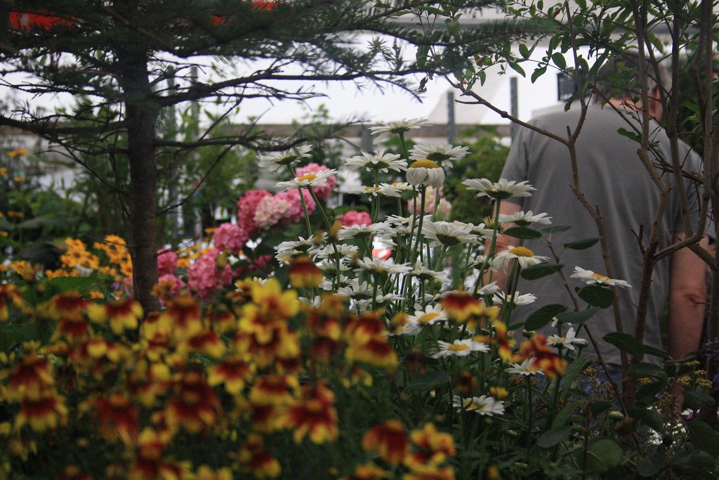 IMG_0022 JC Martin Flickr