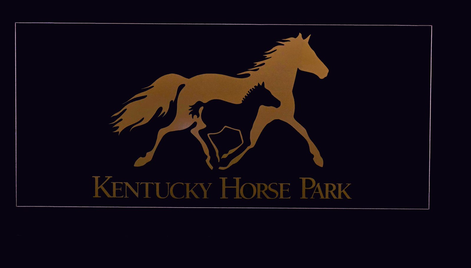 Kentucky Horse Park visit (July 2017) Flickr