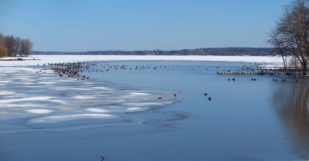 VaudreuilsurleLac BB03 Flickr