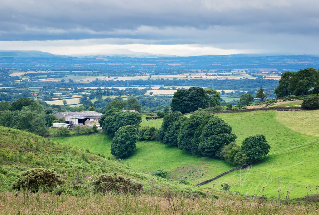 Hambleton View July Harvesting has already started Flickr