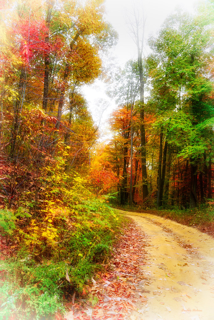 belcher_mountain_fall2 Alan Johnston Flickr