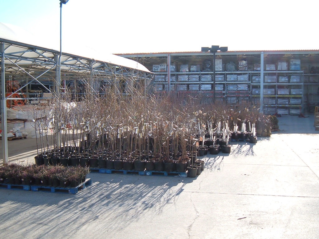 916 Woodbridge, NJ Home Depot Profiles Flickr