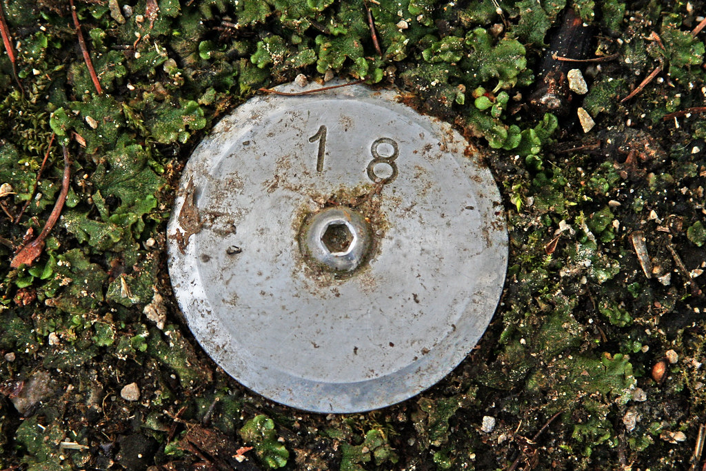 18 Colney Woodland Burial Park Norwich, Norfolk, England, … Flickr