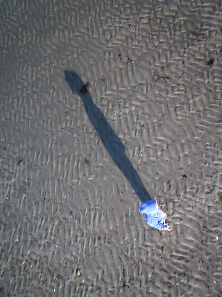 LittleGirl_0013 Curtis Cove in East Blue Hill Maine. G F Flickr