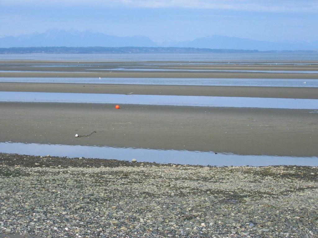 Maple Beach tide out Tide is far out today Carl Bengtson Flickr