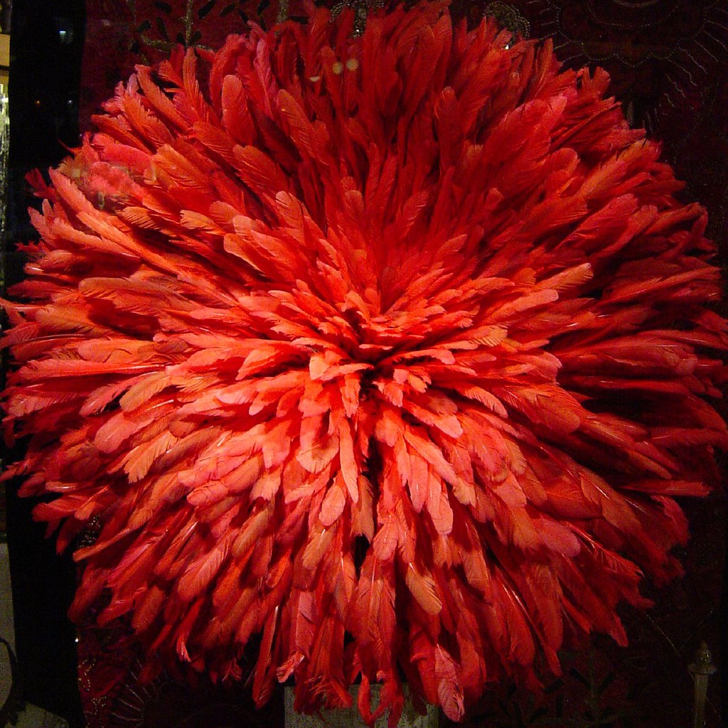Red Feather Display A mass of red feathers attracting shop… Flickr