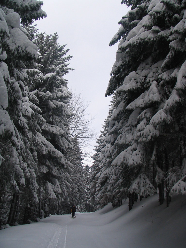 Fogy horizon Hadar Naim Flickr