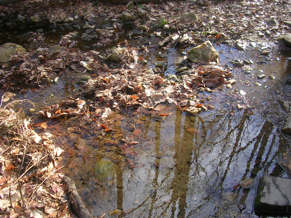 Glover Archbold Park The creek that runs through it, near … Flickr