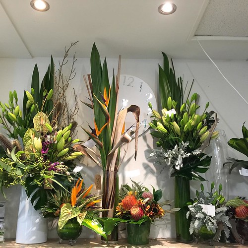 ⬅️order now Share,Like or Com… Flickr