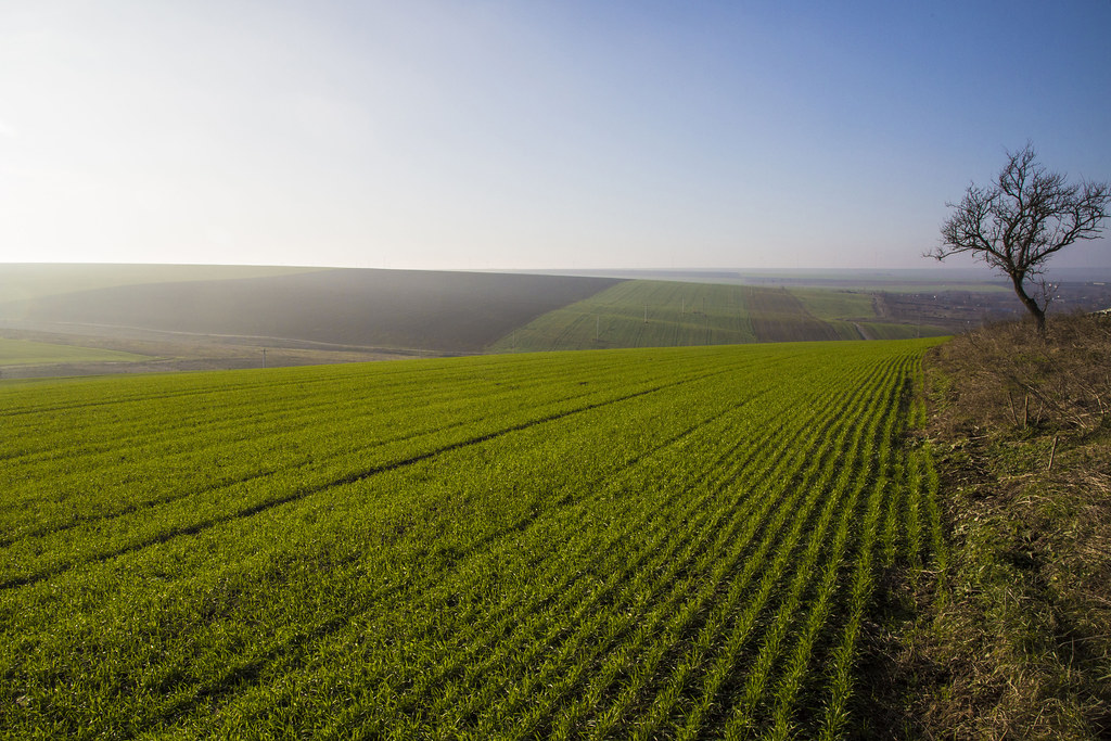 Agricultural Land in Romania Romania is among the Most end… Flickr