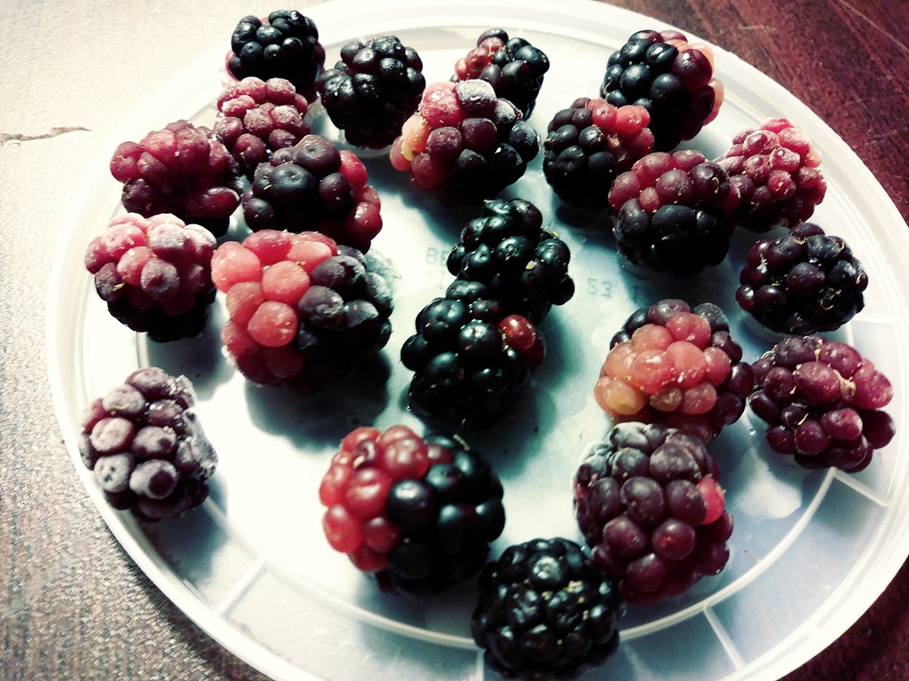 Fresh blackberries Rana Ghana Flickr