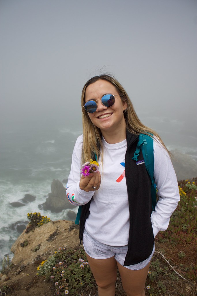 Bodega Bay July 2017 averymyers7 Flickr