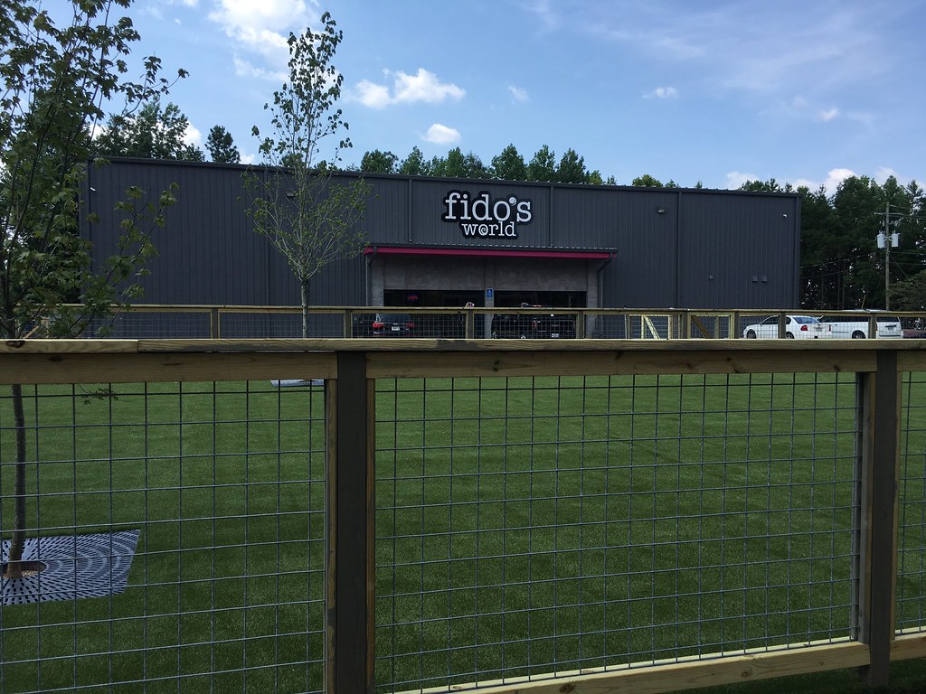 Outdoor Projects K9Grass by ForeverLawn