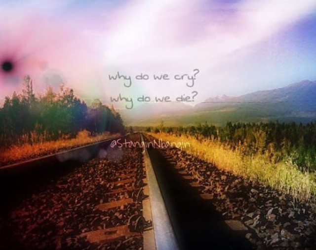 Why do we cry, Why do we die? why do we cry? why do we die… Flickr