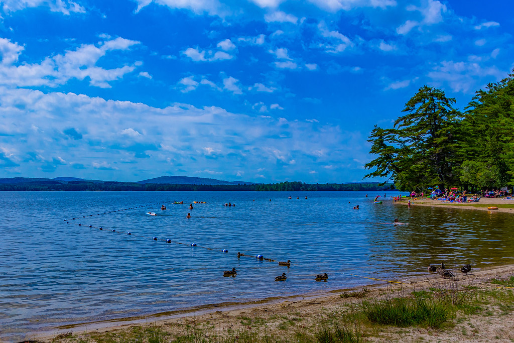 People & Ducks at the Beach Wentworth State Park, Wolfebor… Flickr