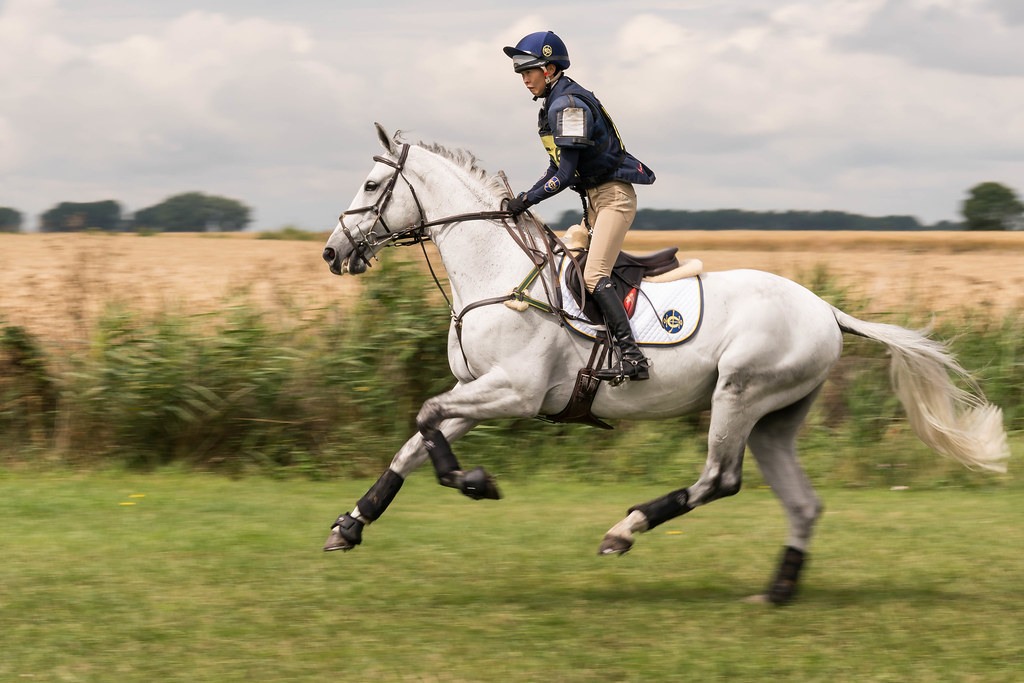 Childeric Saddles Little Downham horse trials, Cambs, UK (… Flickr