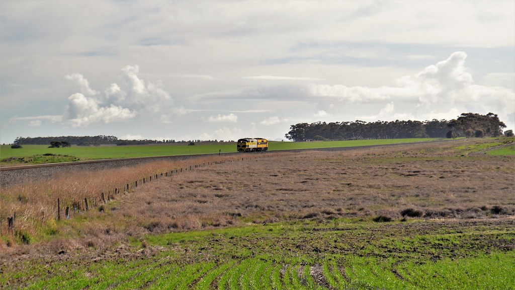 1707311D764VWestmere Date 31st July 2017. Location … Flickr