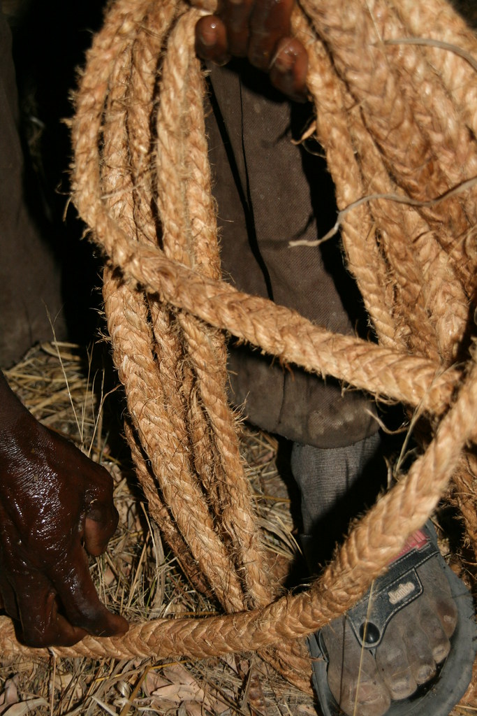 Baobab bark rope Traditional beekeeper shows me his Baobab… Flickr