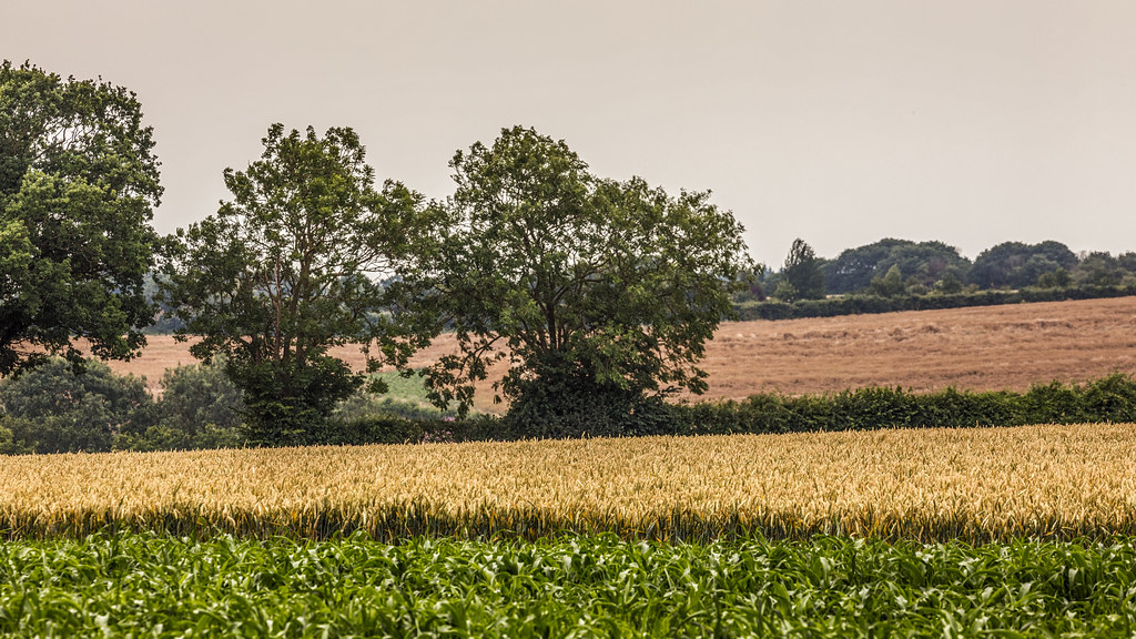 Edwardstone Suffolk England If you are interested in v… Flickr