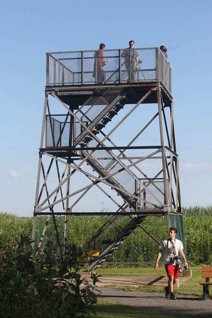 Cornell Young Birders Event Flickr