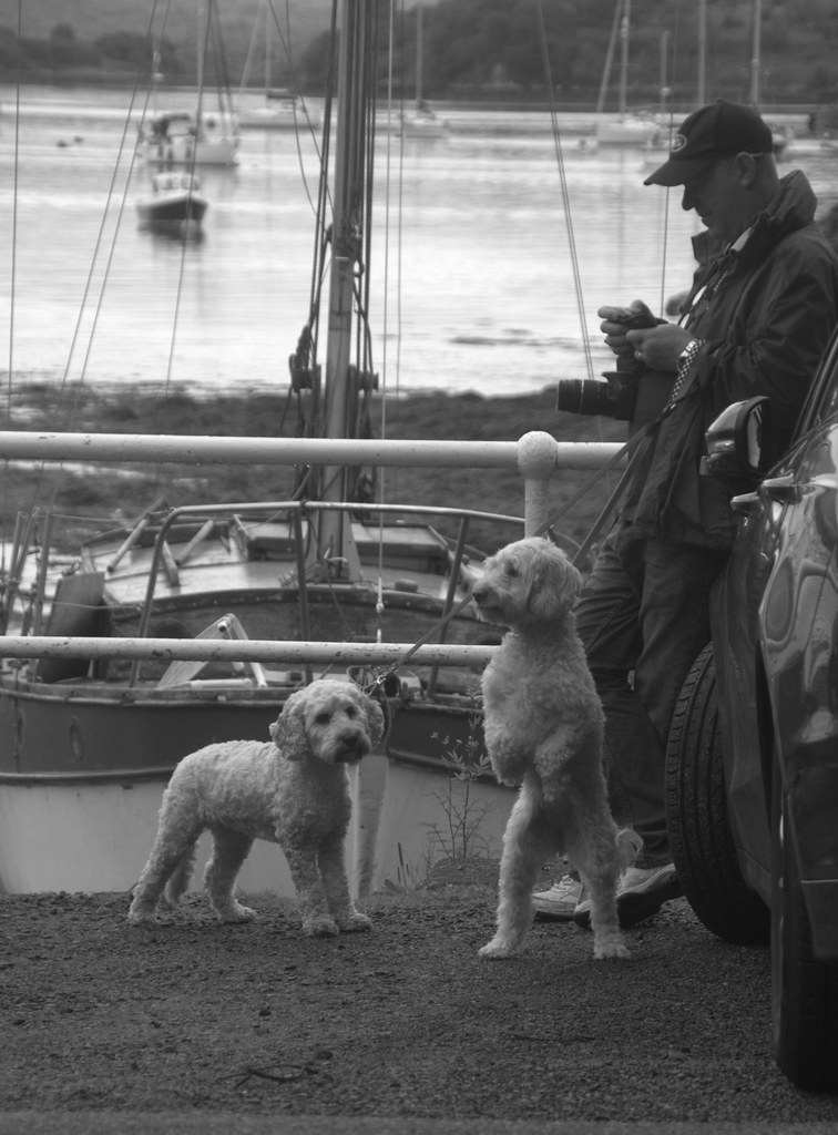 Tobermory annesharkey56 Flickr