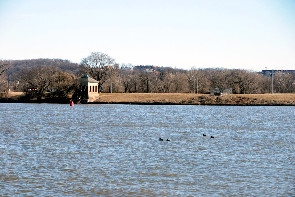 Poplar Point seen from Yards Park BeyondDC Flickr