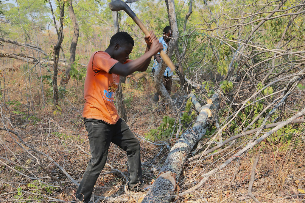 Charcoal production in Nyimba, Zambia CIFOR Knowledge