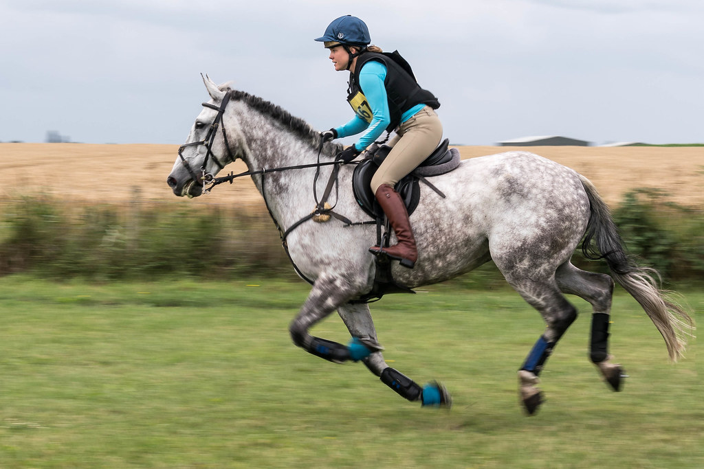 Childeric Saddles Little Downham horse trials, Cambs, UK (… Flickr