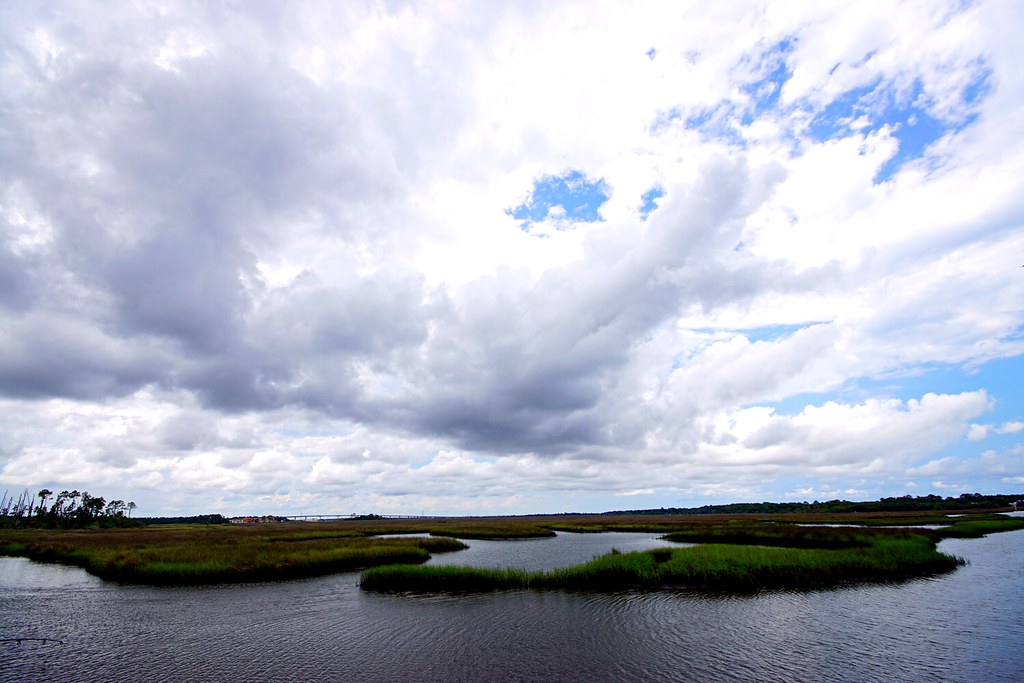 Dutton Island Jacksonville Florida Michelle Pack Flickr