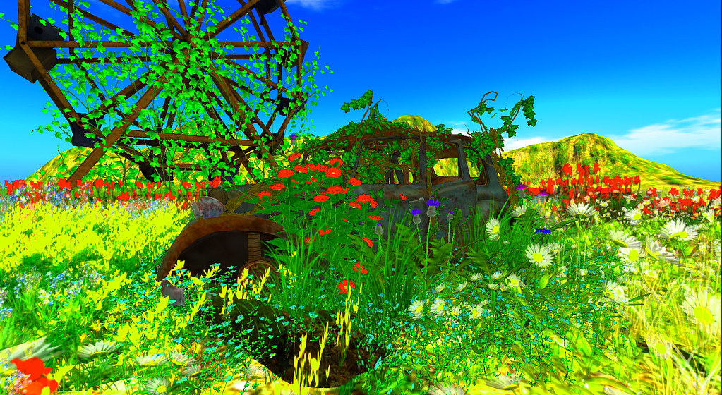 The flowers still bloom and the overgrowth tells Flickr