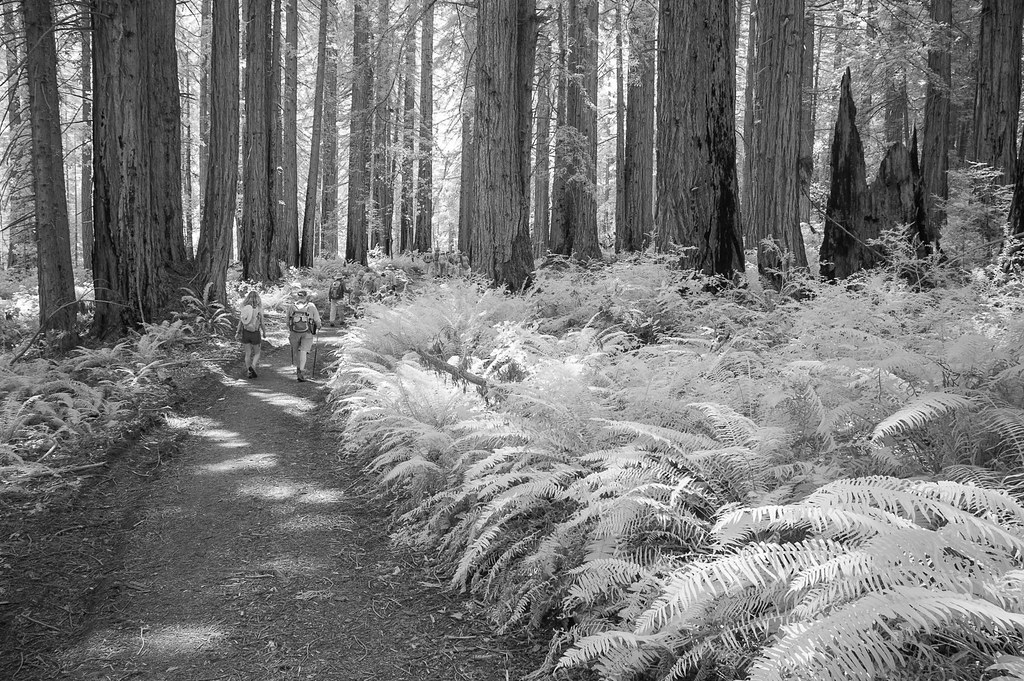 Bolinas Ridge_07122017144 James Thomason Flickr