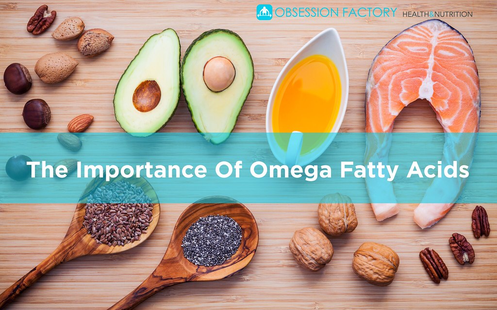 THE IMPORTANCE OF OMEGA FATTY ACIDS [vc_row][vc_column wid… Flickr