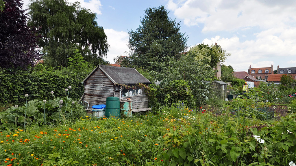 Shed, Kitchen Lane Allotments, Beverley, East Yorkshire, E… Flickr