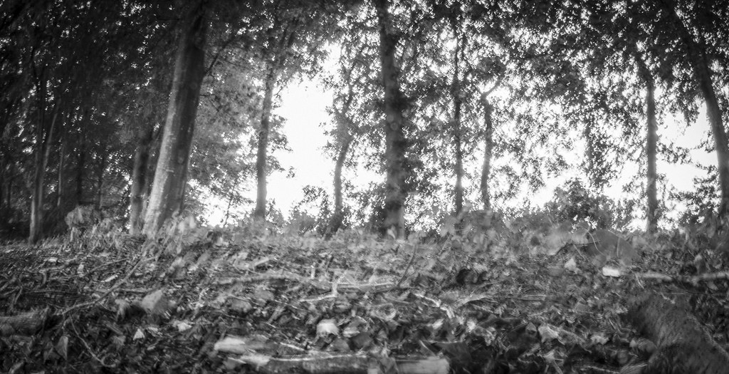 Askov Højskole 20173 Pernille K Flickr