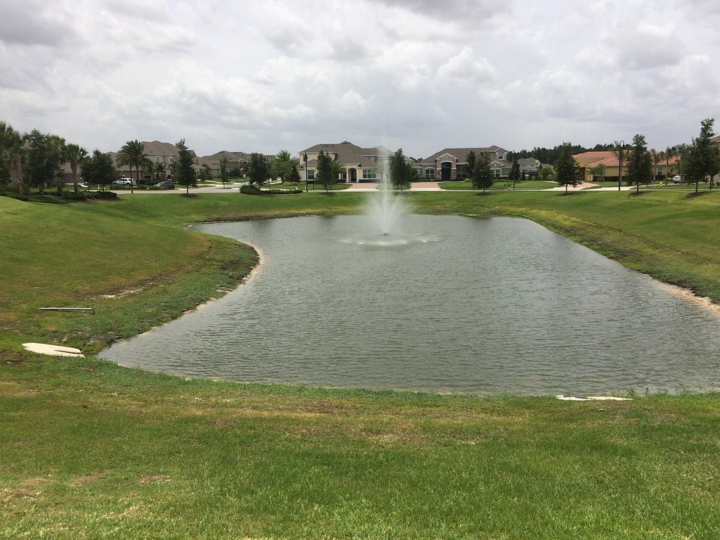 Pond and Fountain Hickory Hammock Homes For Sale In Winter… Flickr