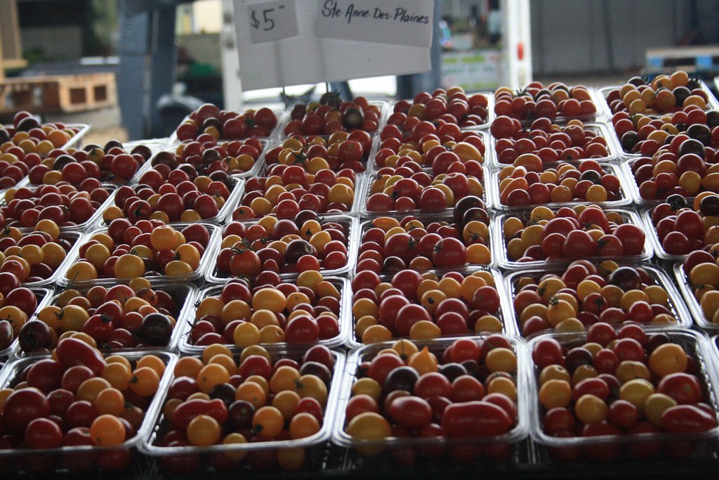 IMG_0026 JC Martin Flickr