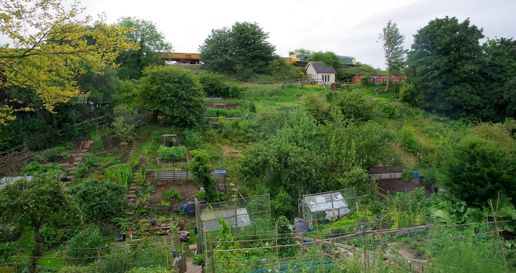 Freightliner 66561 above Saltburn Zetland Terrace Allotmen… Flickr