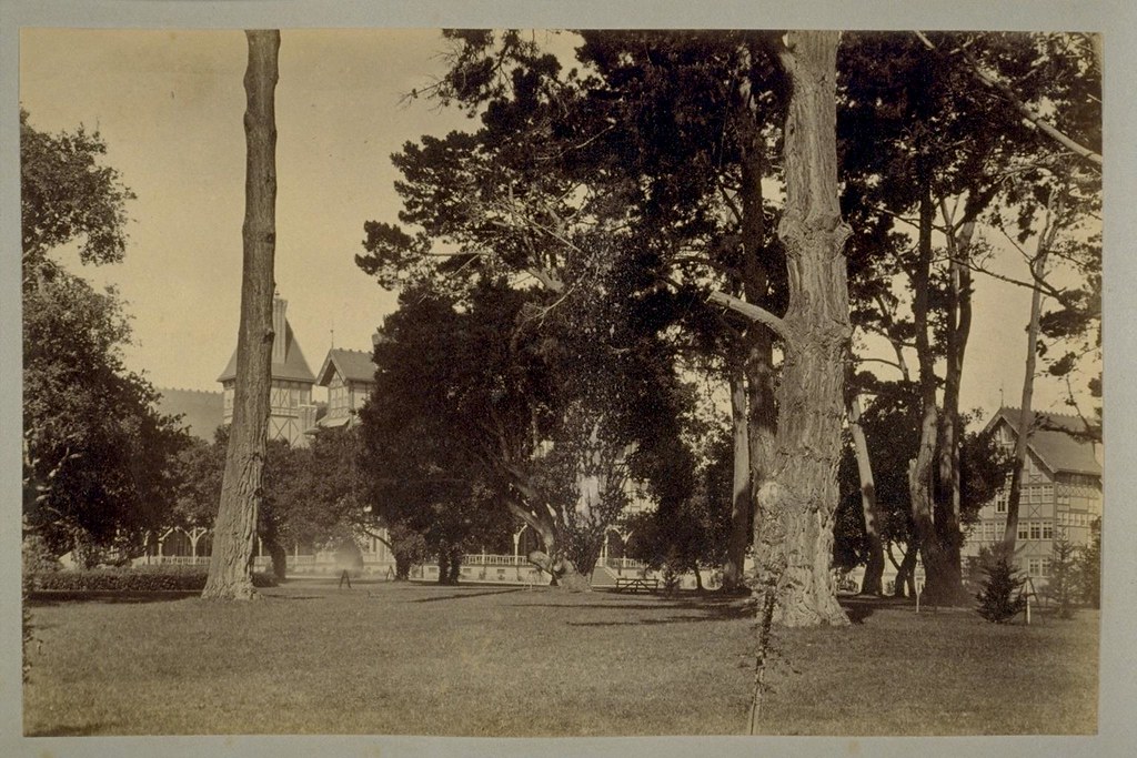 Del Monte Estate 1888 Flickr