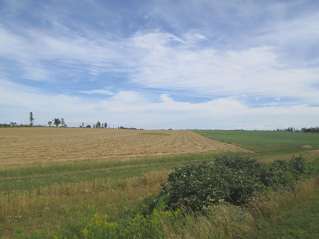 Newton Road, Kinkora, PEI July 29, 2017 Larry Flickr