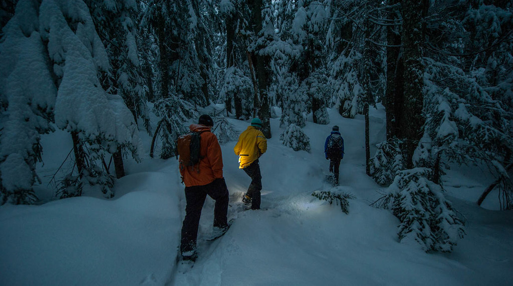 Cypress Mountain Snowshoeing Cypress Mountain Snowshoeing Flickr
