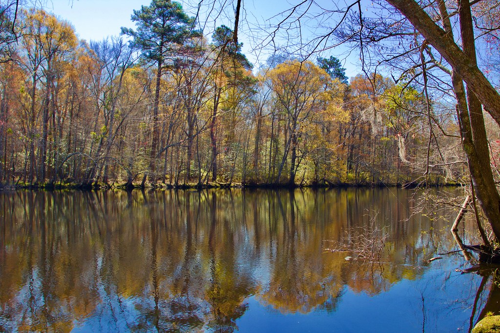 Lumber River State Park Hiking with Harrison