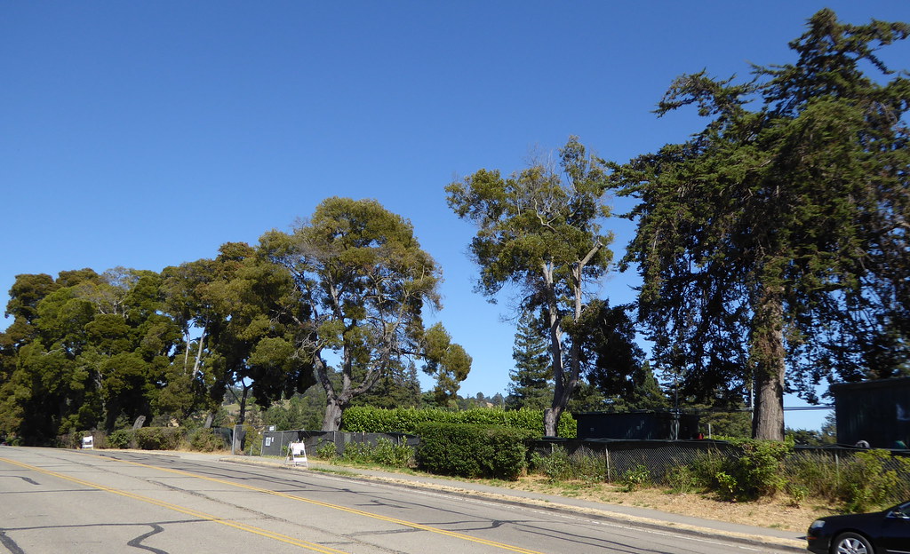 Condo for Rent 5409 Broadway Terrace, Oakland, CA 94628, … Flickr