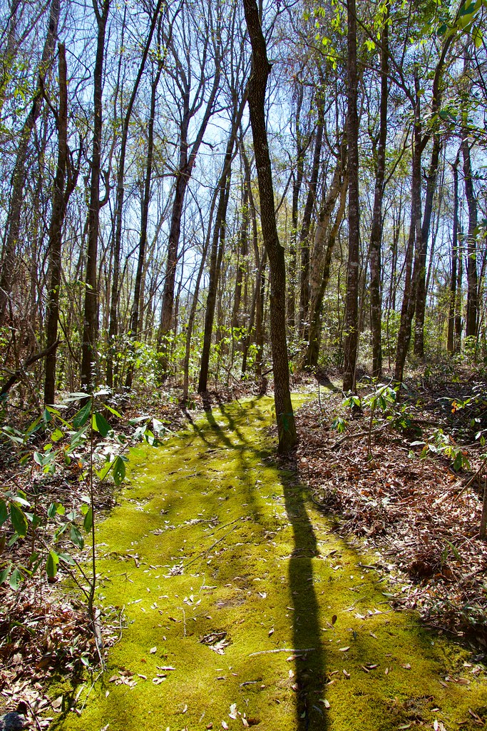 Lumber River State Park Hiking with Harrison