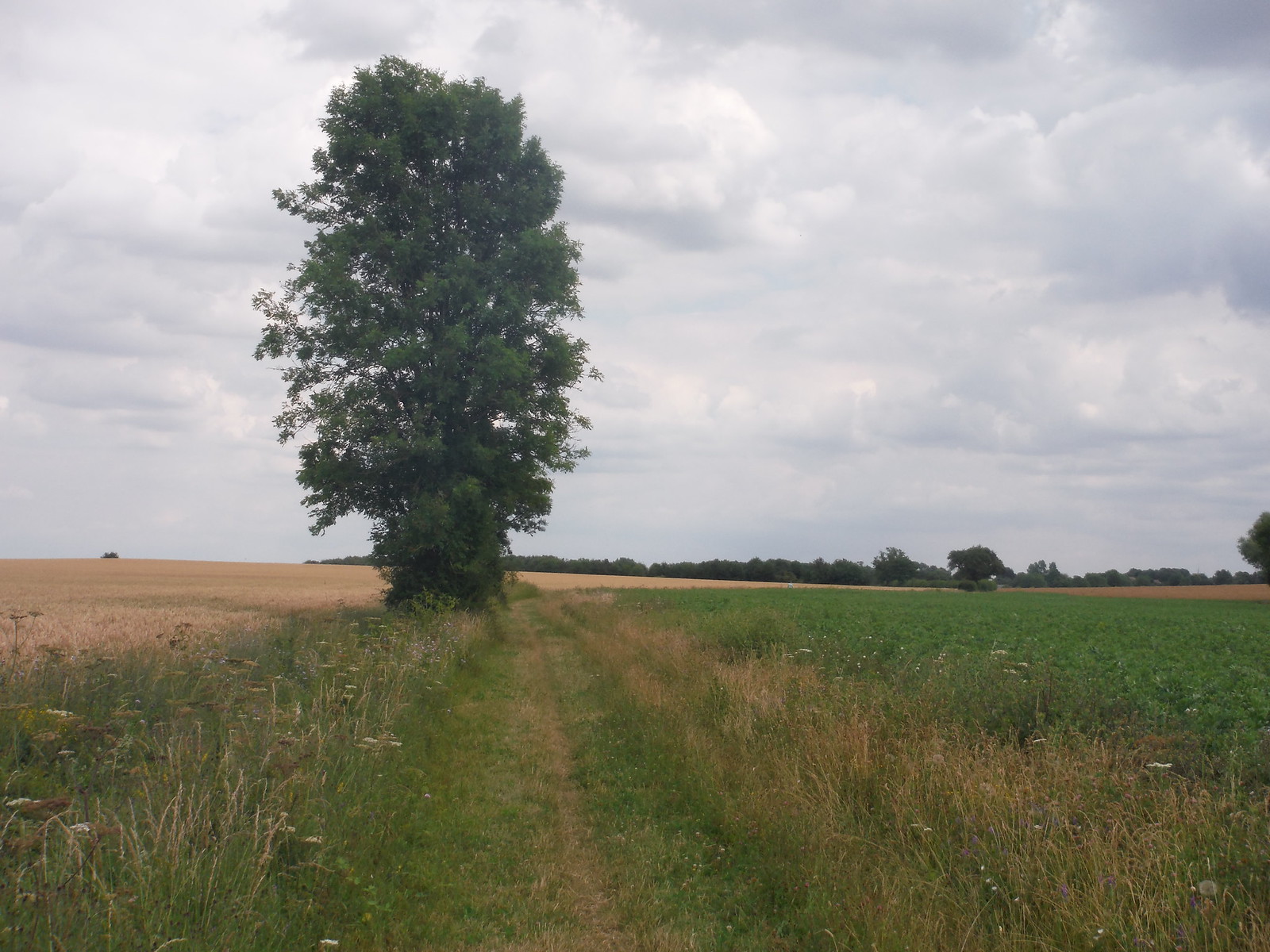 Photos Arlesey to Letchworth Garden City Walk SWC