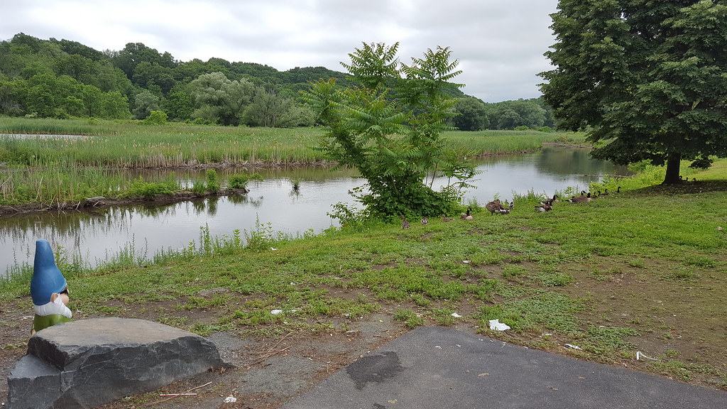 Burden Pond; Troy, NY Burden Pond is a historical manmade… Flickr