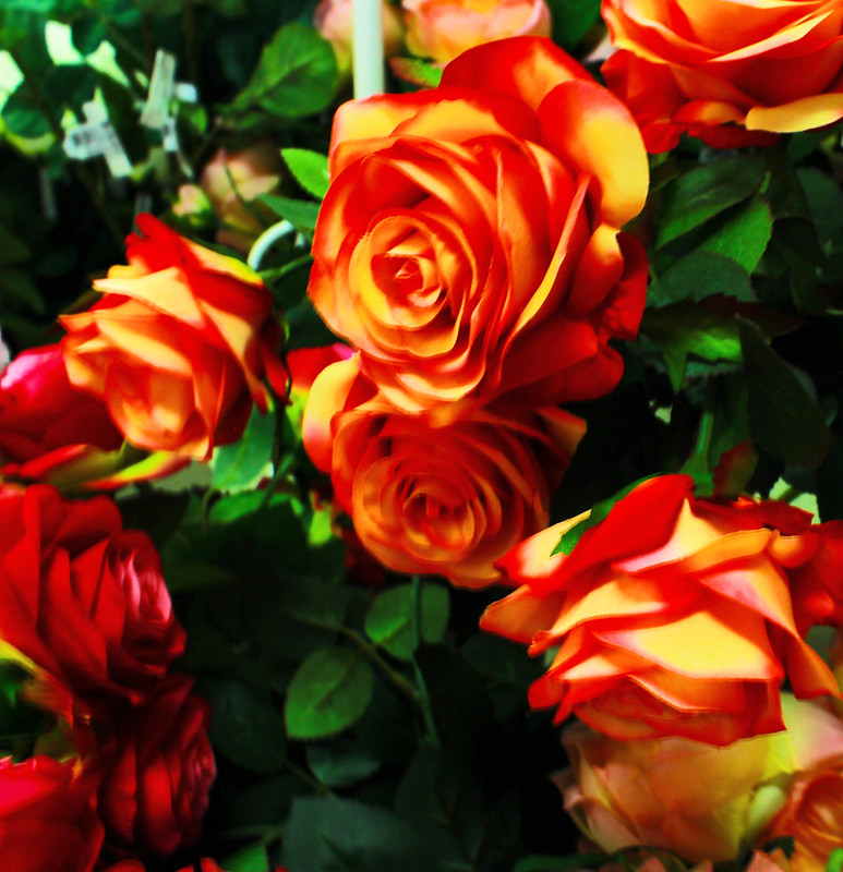 FLOWERS N SUCH Flickr