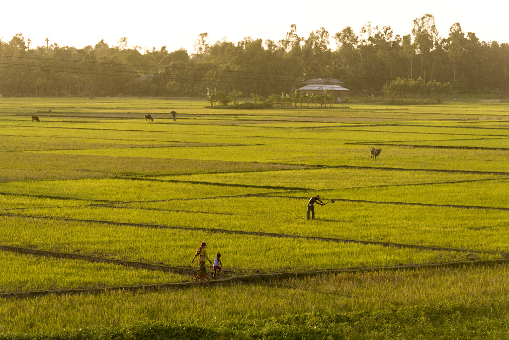 Beautiful Bangladesh Land Of Stories Bangladesh is a lan… Flickr