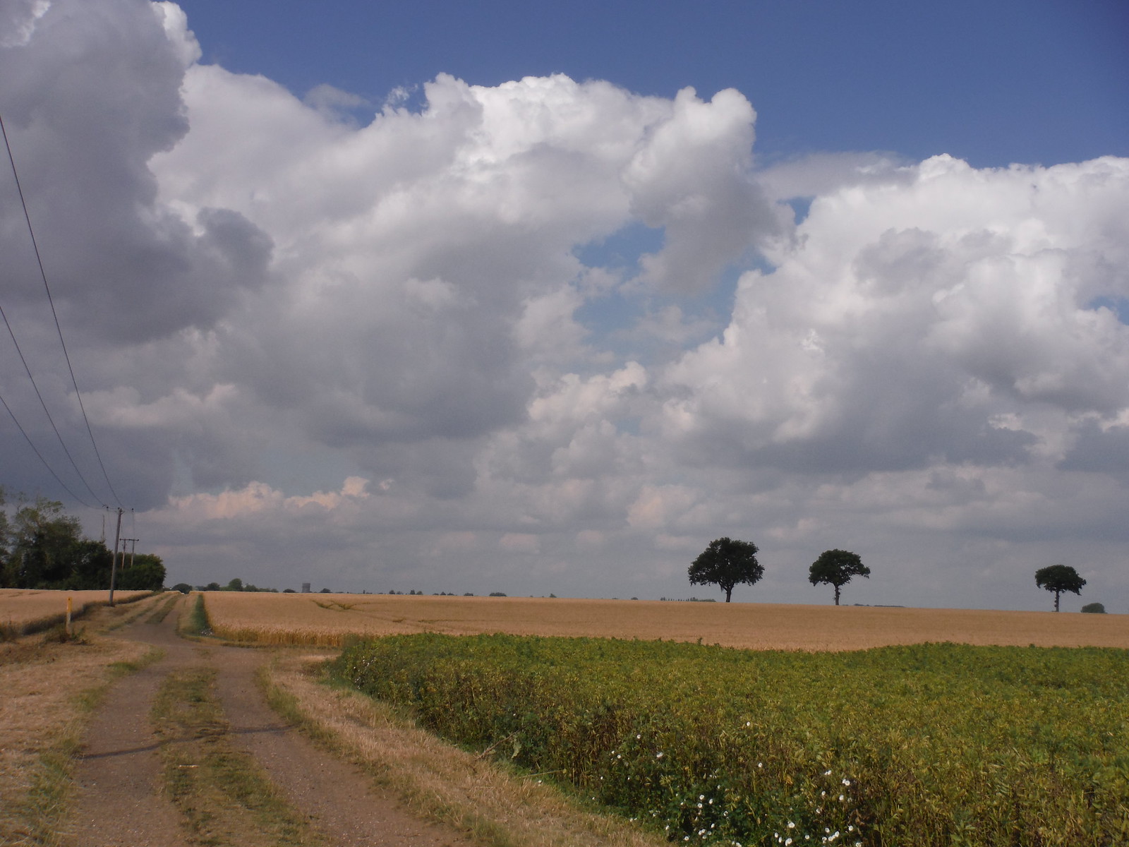 Arlesey to Letchworth Garden City walk