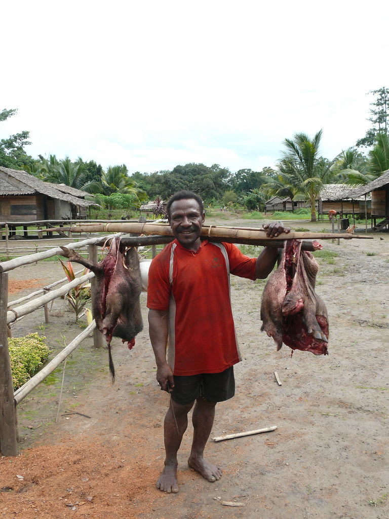 Bush meat a photo on Flickriver
